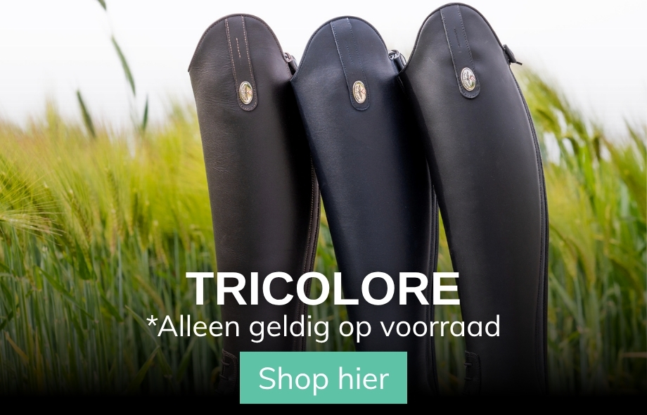 Tricolore Showmodellen Sale