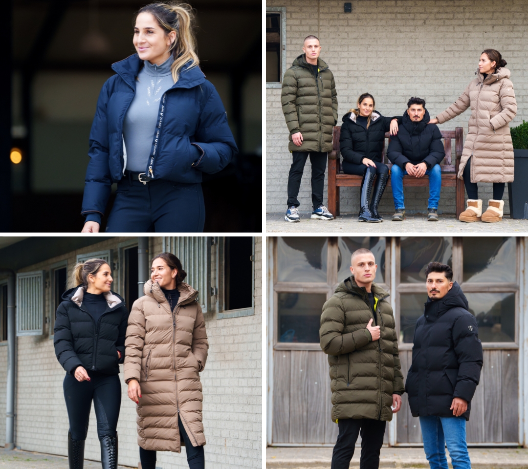 Wellensteyn bij Drunens Ruiterhuis
